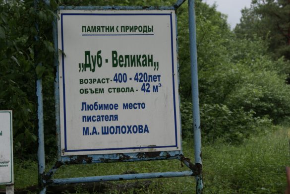 сережино поле белоглинский район. Смотреть фото сережино поле белоглинский район. Смотреть картинку сережино поле белоглинский район. Картинка про сережино поле белоглинский район. Фото сережино поле белоглинский район
