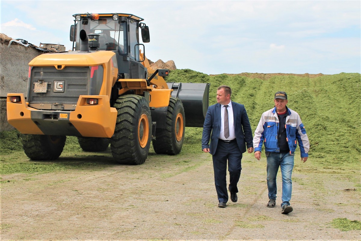 В Белоглинском районе стартовала кампания по заготовке кормов для КРС -  Официальный сайт газеты 