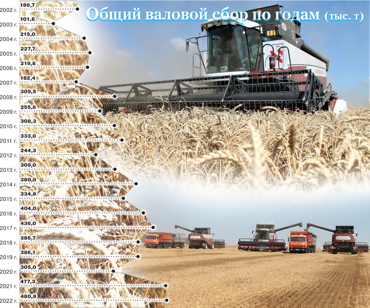 В сентябре был собран рекордный. Сбор зерна. Урожай пшеницы. Жатва 2022. Уборочная в Краснодарском крае 2022.
